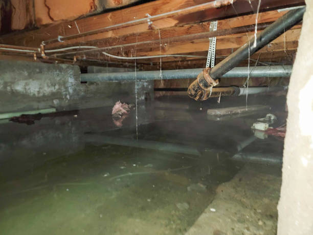 Water damage restoration insurance claims in Waurika, OK