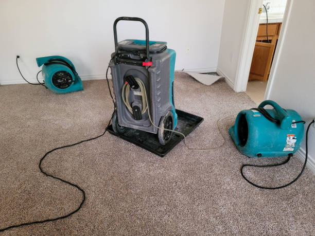 Best Professional water damage repair  in Waurika, OK