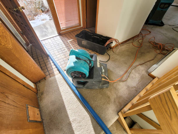 Best Water damage restoration mold remediation  in Waurika, OK