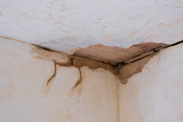 Best Mold removal after water damage  in Waurika, OK