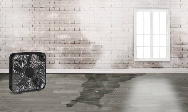 Best Emergency water damage restoration  in Waurika, OK