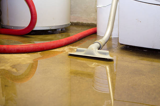  Waurika, OK Water damage restoration Pros