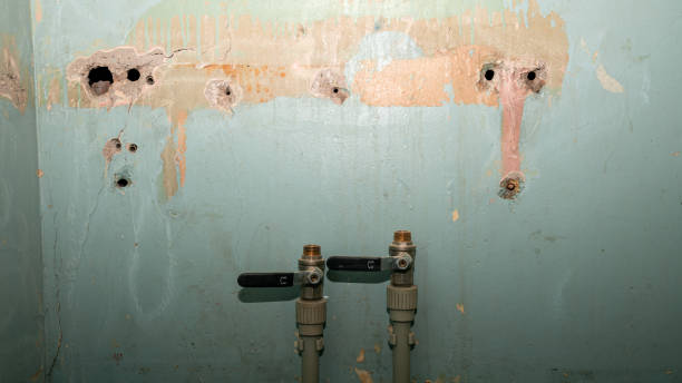 Best Water damage restoration near me  in Waurika, OK