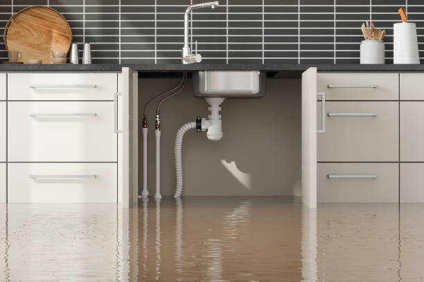 Best Ceiling water damage repair  in Waurika, OK