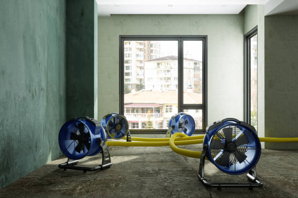 Best Water damage restoration near me  in Waurika, OK